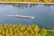 Vue aérienne de Cargo sur le Rhin à le quartier Neuburg in Neuburg am Rhein dans le département Rhénanie-Palatinat, Allemagne