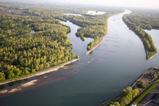 Vue aérienne de Illinger Altrhein à Au am Rhein dans le département Bade-Wurtemberg, Allemagne