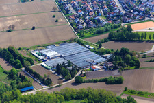 Vue aérienne de Géraniums Endisch à Hagenbach dans le département Rhénanie-Palatinat, Allemagne