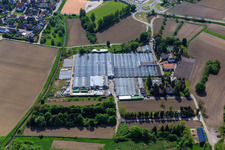 Photographie aérienne de Géraniums Endisch à Hagenbach dans le département Rhénanie-Palatinat, Allemagne