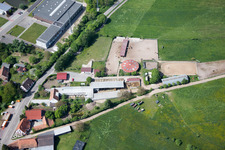 Vue aérienne de Bienwaldranch à le quartier Neulauterburg in Berg dans le département Rhénanie-Palatinat, Allemagne