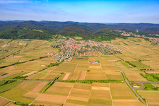 Vue aérienne de Wachenheim à Wachenheim an der Weinstraße dans le département Rhénanie-Palatinat, Allemagne