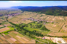 Vue aérienne de Vue du village avec Forster Bruch depuis le nord-est au-delà de la B271 à le quartier Forst in Forst an der Weinstraße dans le département Rhénanie-Palatinat, Allemagne