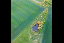 Vue aérienne de Biotope à Schwebheim dans le département Bavière, Allemagne