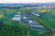 Vue aérienne de Horticulture Dieter Denzer à Grettstadt dans le département Bavière, Allemagne