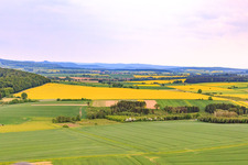 Vue aérienne de Champ de colza XL à le quartier Güntersen in Adelebsen dans le département Basse-Saxe, Allemagne