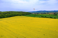 Vue aérienne de Champ de colza XL à le quartier Güntersen in Adelebsen dans le département Basse-Saxe, Allemagne