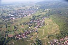 Vue aérienne de Quartier Pleisweiler in Pleisweiler-Oberhofen dans le département Rhénanie-Palatinat, Allemagne