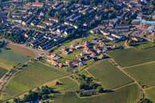Vue aérienne de Nouvelle zone de développement Im Wingert à le quartier Pleisweiler in Bad Bergzabern dans le département Rhénanie-Palatinat, Allemagne