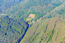 Böllenborn dans le département Rhénanie-Palatinat, Allemagne vue d'en haut