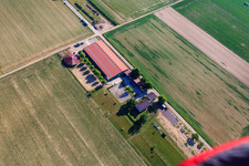 Vue aérienne de Centre équestre Fohlenhof à Steinweiler dans le département Rhénanie-Palatinat, Allemagne
