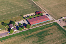 Photographie aérienne de Centre équestre Fohlenhof à Steinweiler dans le département Rhénanie-Palatinat, Allemagne