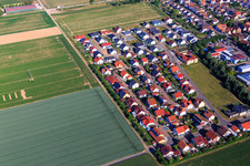 Vue aérienne de Nouvelle zone de développement Siedlerweg x Fichtenweg à Steinweiler dans le département Rhénanie-Palatinat, Allemagne