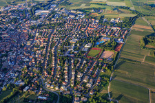 Vue aérienne de Pétronellastr à Bad Bergzabern dans le département Rhénanie-Palatinat, Allemagne