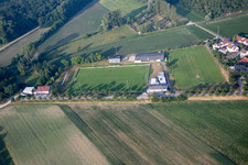 Vue aérienne de Terrain de sport TuS 1914 eV à le quartier Mechtersheim in Römerberg dans le département Rhénanie-Palatinat, Allemagne
