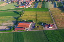 Vue aérienne de Pension pour chevaux Seehof Trauth Kretz GbR à Hatzenbühl dans le département Rhénanie-Palatinat, Allemagne