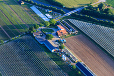 Vue aérienne de Légumes frais Zapf à Kandel dans le département Rhénanie-Palatinat, Allemagne