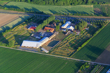Vue aérienne de Parc de football et de golf du Palatinat du Sud à Adamshof Kandel à Kandel dans le département Rhénanie-Palatinat, Allemagne
