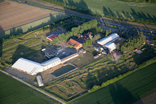Vue aérienne de Tente du restaurant en plein air Adamshof et parcours de foot Kandel à Kandel dans le département Rhénanie-Palatinat, Allemagne