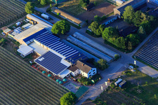 Vue aérienne de Marché fermier de Zapf à Kandel dans le département Rhénanie-Palatinat, Allemagne