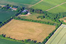 Vue oblique de Galgenberg à Minfeld dans le département Rhénanie-Palatinat, Allemagne