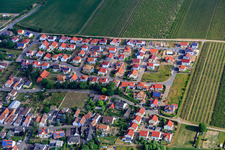 Vue aérienne de Nouvelle zone de développement Fischlinger Straße à Essingen dans le département Rhénanie-Palatinat, Allemagne