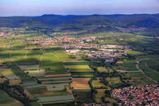 Vue aérienne de De l'est à Edenkoben dans le département Rhénanie-Palatinat, Allemagne