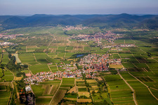 Vue aérienne de (Palatinat) à Kirrweiler dans le département Rhénanie-Palatinat, Allemagne