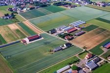 Photographie aérienne de Aussiedlerhöfe am Wingertsberg par Kerner Andreas et Detzel GbR - Entrepôt à Herxheim bei Landau dans le département Rhénanie-Palatinat, Allemagne
