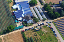 Marché fermier de Zapf à Kandel dans le département Rhénanie-Palatinat, Allemagne d'en haut