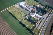 Vue aérienne de Tente du restaurant en plein air Adamshof et parcours de foot Kandel à Kandel dans le département Rhénanie-Palatinat, Allemagne
