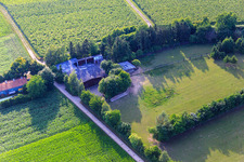 Paddock de Trakehner-Friedrich à Minfeld dans le département Rhénanie-Palatinat, Allemagne vue d'en haut