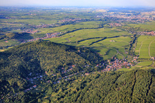 Vue aérienne de Vue d'ensemble du village au bord du Haardt depuis le sud-ouest à Leinsweiler dans le département Rhénanie-Palatinat, Allemagne