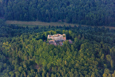 Vue aérienne de Ruines du château de Meistersel (échafaudées) à Ramberg dans le département Rhénanie-Palatinat, Allemagne