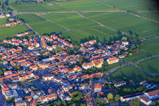 Vue aérienne de Edesheimer Straße à Edenkoben dans le département Rhénanie-Palatinat, Allemagne