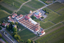 Vue aérienne de Paysage viticole autour de la cave Albert Götz KG dans la région de Bordmühle (Palatinat) à Kirrweiler dans le département Rhénanie-Palatinat, Allemagne