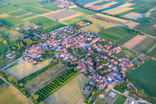 Vue aérienne de Vue d'ensemble du village depuis le nord-ouest à Großfischlingen dans le département Rhénanie-Palatinat, Allemagne
