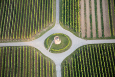 Vue aérienne de Tour du vigneron à le quartier Niederhochstadt in Hochstadt dans le département Rhénanie-Palatinat, Allemagne