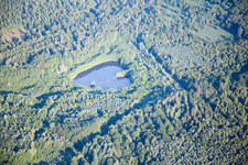 Photographie aérienne de Forstfeld dans le département Bas Rhin, France