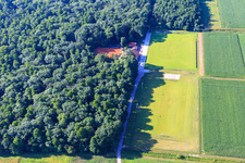 Vue aérienne de Terrains de sport du TSV 1908 Freckenfeld vus du nord à Freckenfeld dans le département Rhénanie-Palatinat, Allemagne