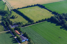 Paddock de Trakehner-Friedrich à Minfeld dans le département Rhénanie-Palatinat, Allemagne depuis l'avion
