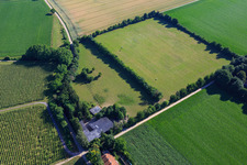 Paddock de Trakehner-Friedrich à Minfeld dans le département Rhénanie-Palatinat, Allemagne vue du ciel