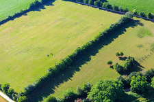Image drone de Paddock de Trakehner-Friedrich à Minfeld dans le département Rhénanie-Palatinat, Allemagne