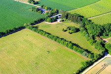 Vue aérienne de Paddock de Trakehner-Friedrich à Minfeld dans le département Rhénanie-Palatinat, Allemagne