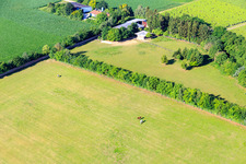 Vue oblique de Paddock de Trakehner-Friedrich à Minfeld dans le département Rhénanie-Palatinat, Allemagne