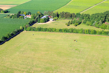 Paddock de Trakehner-Friedrich à Minfeld dans le département Rhénanie-Palatinat, Allemagne vue d'en haut
