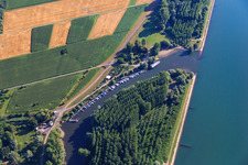 Photographie aérienne de Marina Neuburg à l'embouchure de la Lauter à le quartier Neuburg in Neuburg am Rhein dans le département Rhénanie-Palatinat, Allemagne