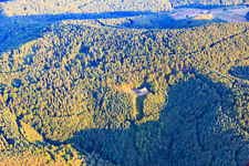 Vue aérienne de Gîte de randonnée Dicke Eiche - Association de la forêt du Palatinat Hauenstein 1913 eV à Hauenstein dans le département Rhénanie-Palatinat, Allemagne