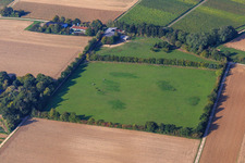 Paddock de Trakehner-Friedrich à Minfeld dans le département Rhénanie-Palatinat, Allemagne du point de vue du drone