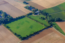 Paddock de Trakehner-Friedrich à Minfeld dans le département Rhénanie-Palatinat, Allemagne d'un drone